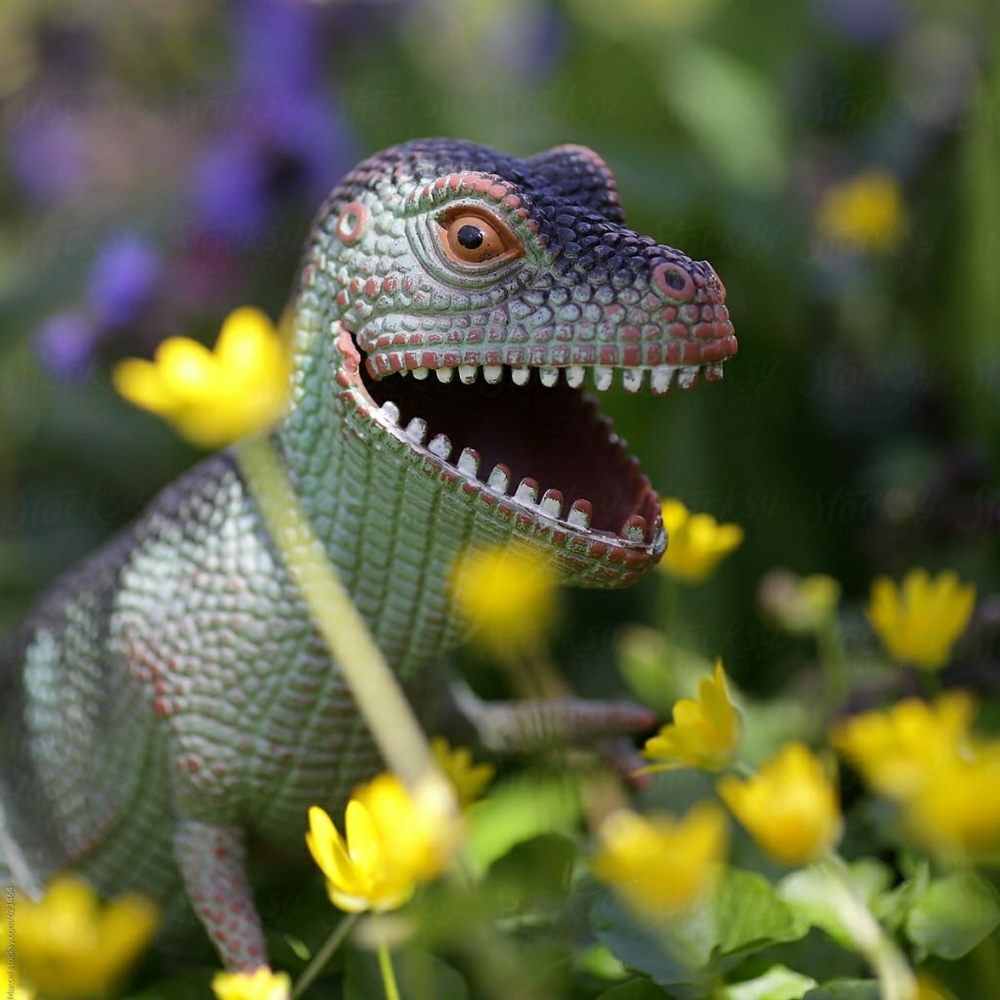 Welcome ☺ - Picture 3 of 4